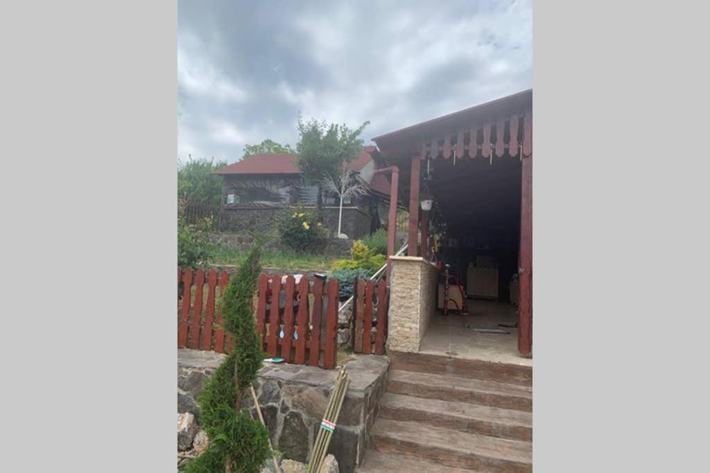 Dana Guest House Oradea Ngoại thất bức ảnh