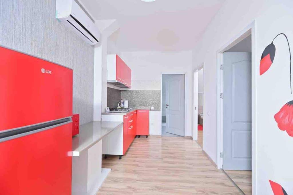 Dana Guest House Oradea Ngoại thất bức ảnh
